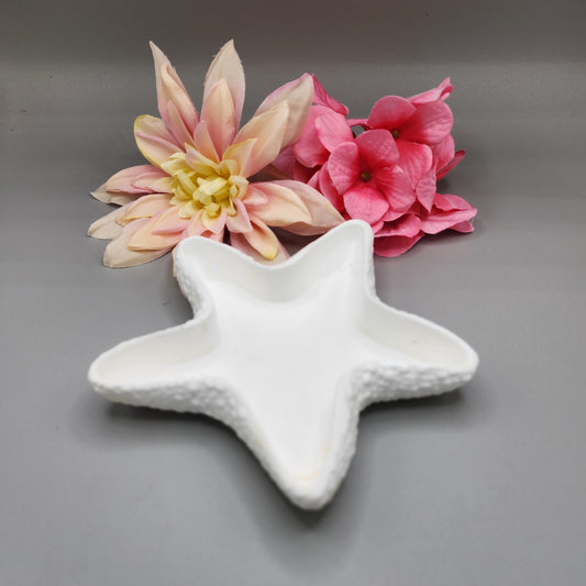 Starfish Dish